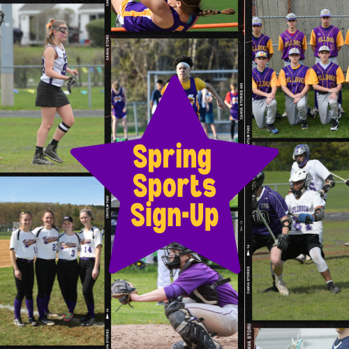 spring sports